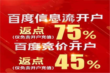 百度竞价排名服务助力：某品牌迅速占领市场